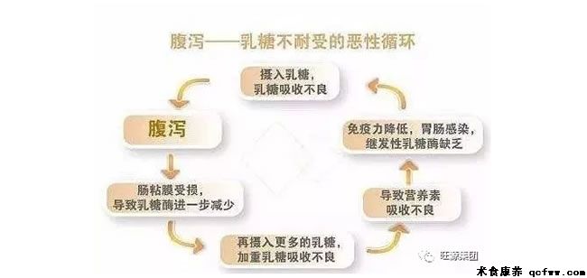 宝妈们:让 “乳糖不耐受”君滚蛋吧!