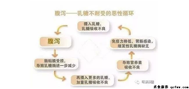 宝妈们：让 “乳糖不耐受”君滚蛋吧！