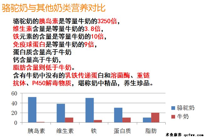 她远赴千里之外的大漠，只为神奇的骆驼奶