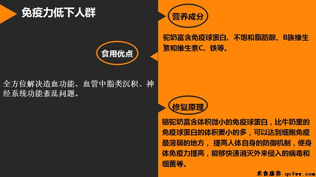 她远赴千里之外的大漠,只为神奇的骆驼奶