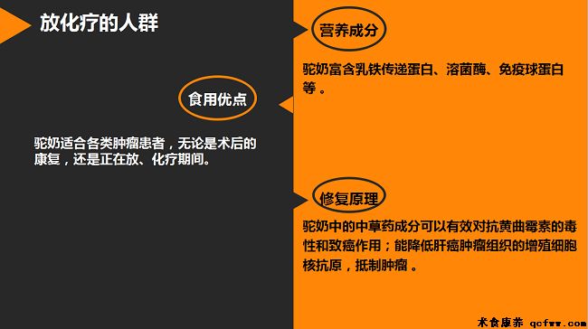 她远赴千里之外的大漠,只为神奇的骆驼奶