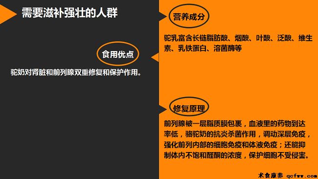 她远赴千里之外的大漠,只为神奇的骆驼奶