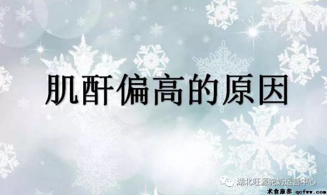 降个肌酐真就那么难吗? --马先生的降酐记