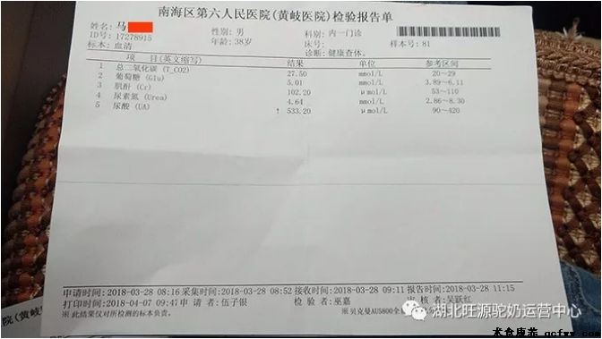 降个肌酐真就那么难吗? --马先生的降酐记