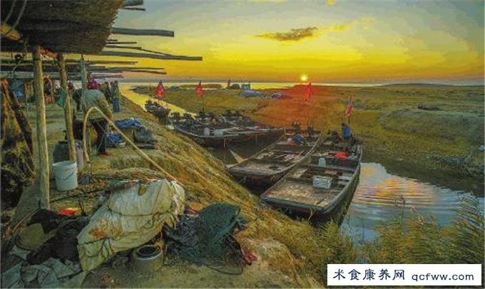 北疆明珠-乌伦古湖欢迎您