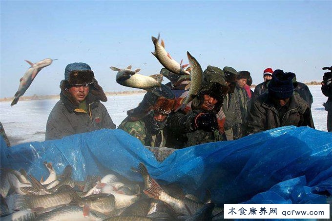 北疆明珠-乌伦古湖欢迎您