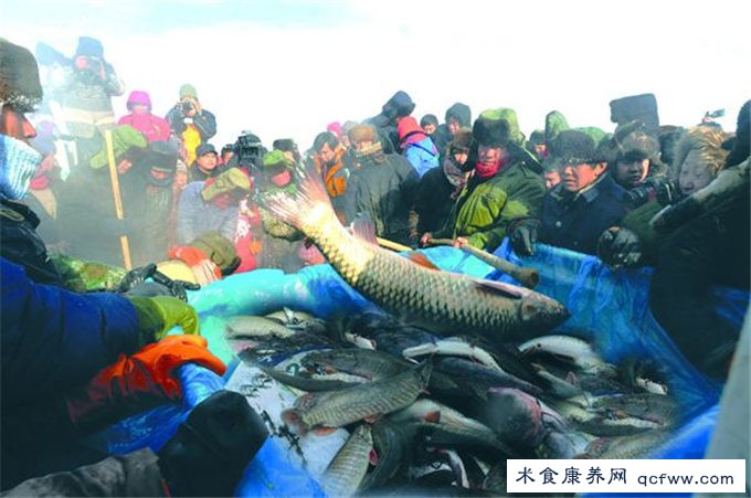 北疆明珠-乌伦古湖欢迎您