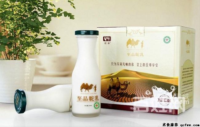 骆驼奶要怎么喝才好?