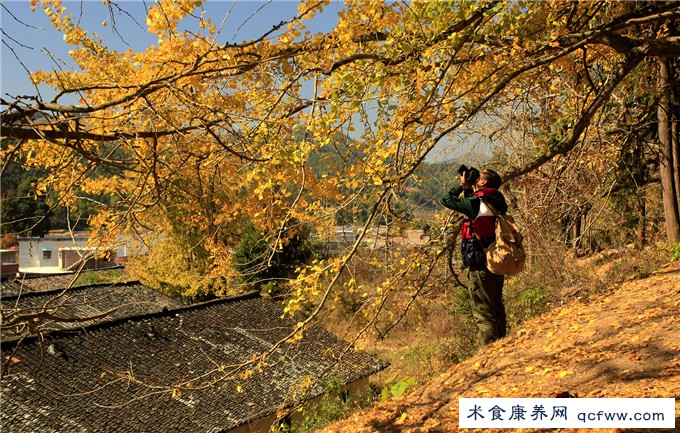 看看重阳节还有哪些您不知道的习俗