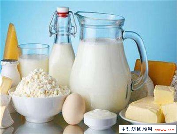 骆驼奶能够提高免疫力治疗肝炎,国外人早已开始食用!