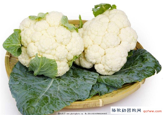 痛风患者要禁忌的这五种食物千万不能吃