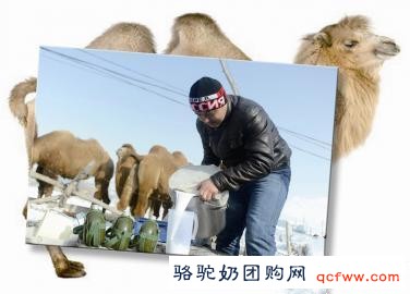 什么是乳铁蛋白?乳铁蛋白为啥好?