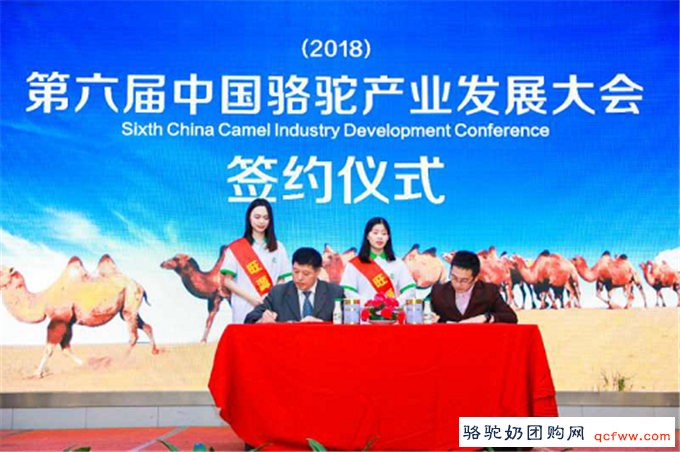 “中国骆驼产业领军品牌”旺源骆驼奶获殊荣