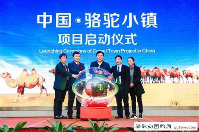 “中国骆驼产业领军品牌”旺源骆驼奶获殊荣