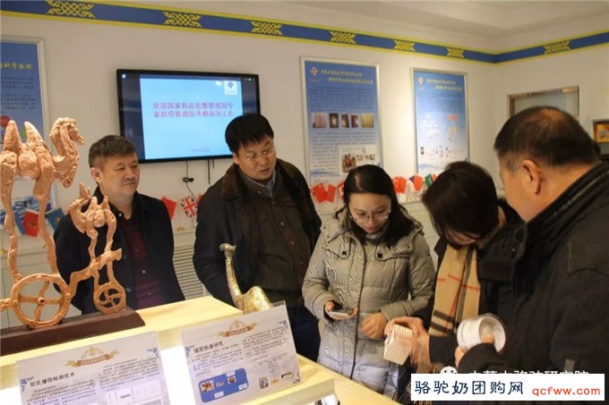 中国食品药品检定研究院专家组赴内蒙古骆驼研究院调研指导工作