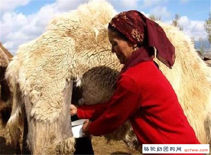 糖尿病人喝什么奶最好?