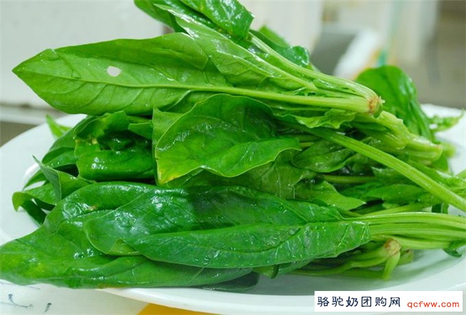 糖尿病的十大降糖食物,骆驼奶位居其首
