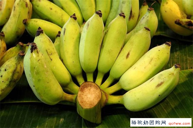 痛风的原因 痛风患者不能吃这些食物
