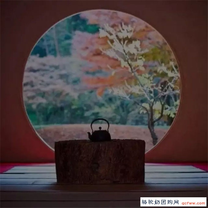 烧开了这一壶水,就悟透了这一生!