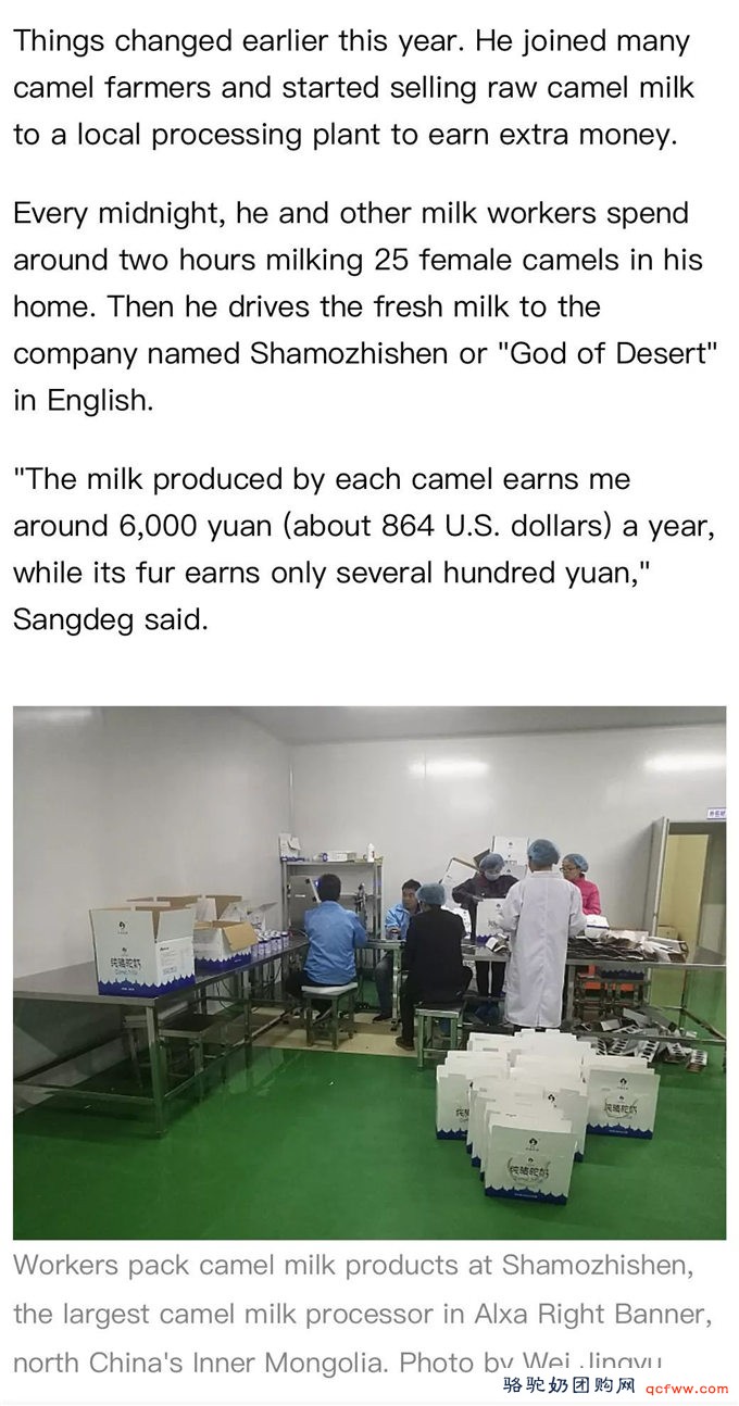新华社英文客户端:驼奶,奶业市场的新秀