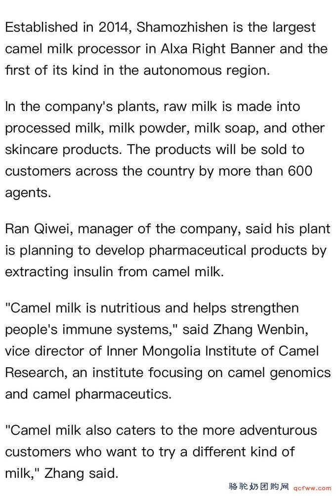 新华社英文客户端:驼奶,奶业市场的新秀
