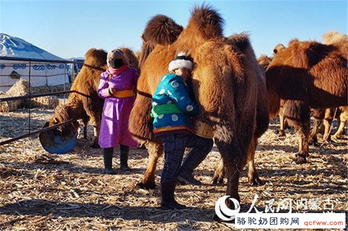 2018年乳业江湖：光荣与道路！