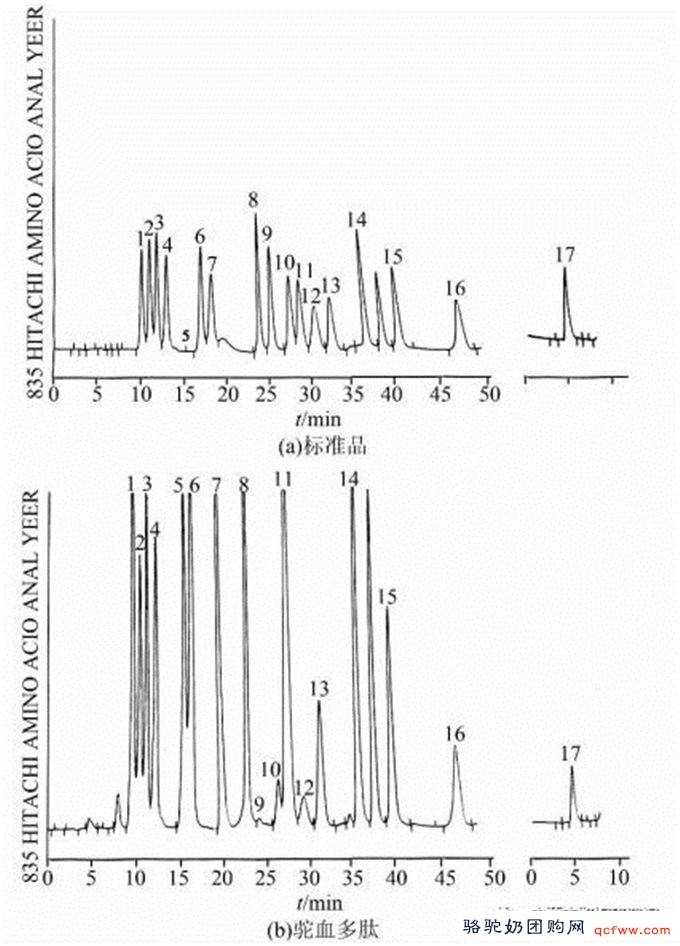 驼血多肽的氨基酸含量分析