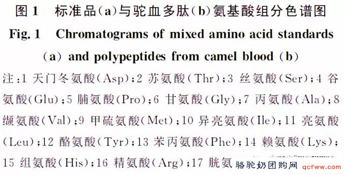 驼血多肽的氨基酸含量分析