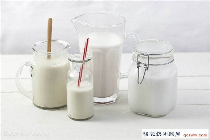 细说骆驼奶的九大功效与作用