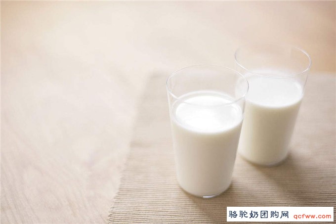 细说骆驼奶的九大功效与作用