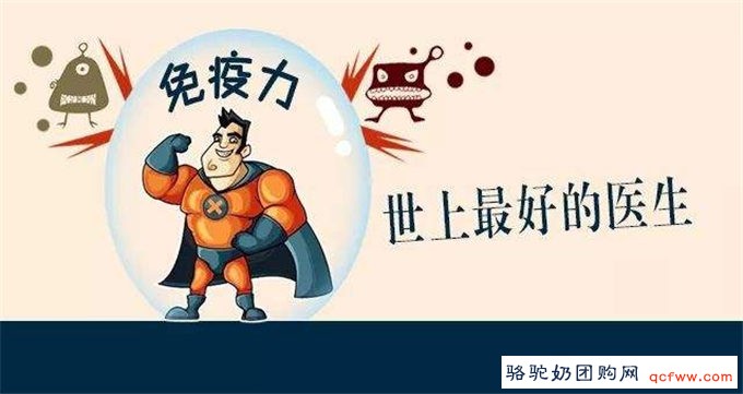 细说骆驼奶的九大功效与作用