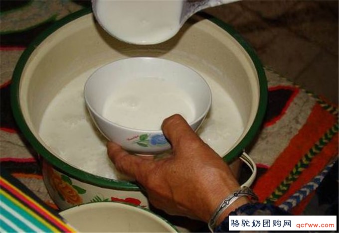 细说骆驼奶的九大功效与作用