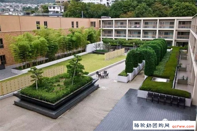 细说骆驼奶的九大功效与作用