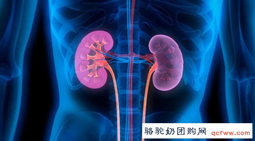 今天是第14个世界肾脏日，我们该为肾脏做点什么
