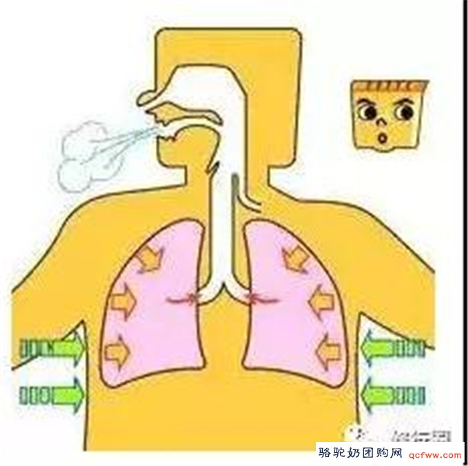 腹式呼吸法养生