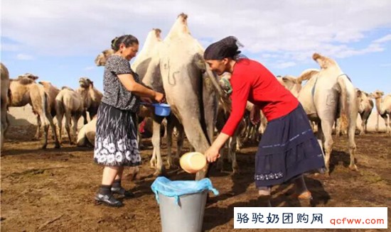 今天说说排便的问题:一天不排便等于吸三包烟吗?