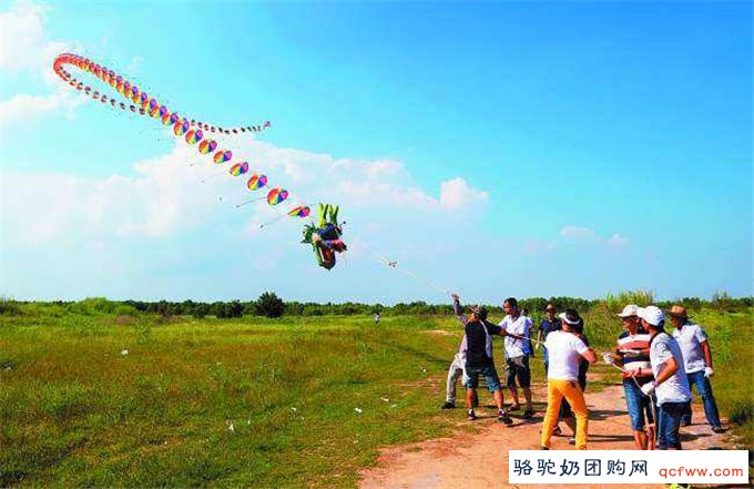 放风筝中的养生哲学