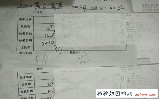 我家“双宝”是怎样得益于骆驼奶的