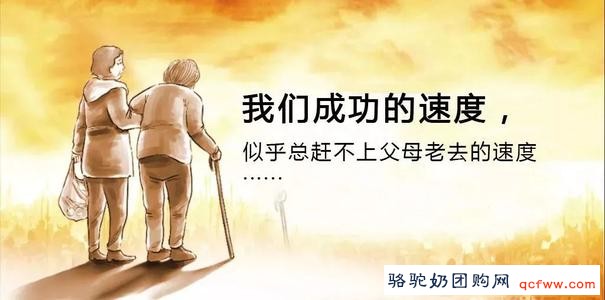 一位浙大学子的驼奶情结