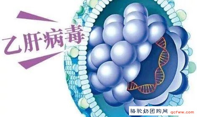 关于骆驼奶的几个问题(二)