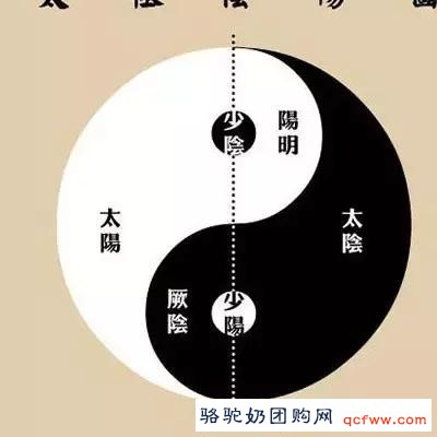 成都中医药大学基础医学院教授卢崇汉:阳主阴从的阴阳至理