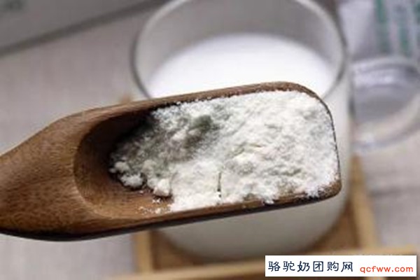 骆驼乳乳清蛋白中的生物活性肽--抗菌肽