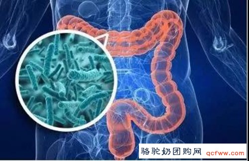 健康学堂:了解益生菌