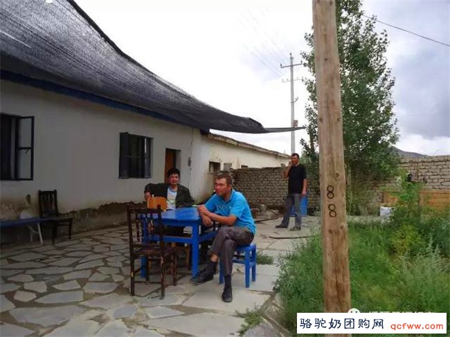援彊记实:新疆哈萨克族—一个让中国人骄傲的少数民族