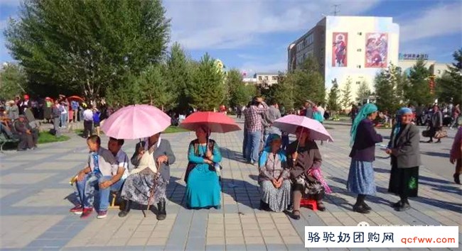 骆驼奶团购网为您提供：援彊记实：新疆哈萨克族—一个让中国人骄傲的少数民族