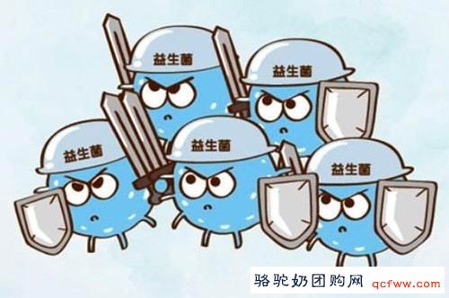 益生菌到底是个啥东东?答案全在这里