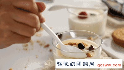 益生菌到底是个啥东东?答案全在这里