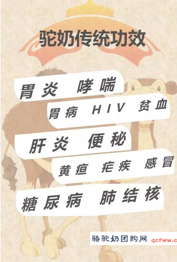 骆驼乳功能介绍