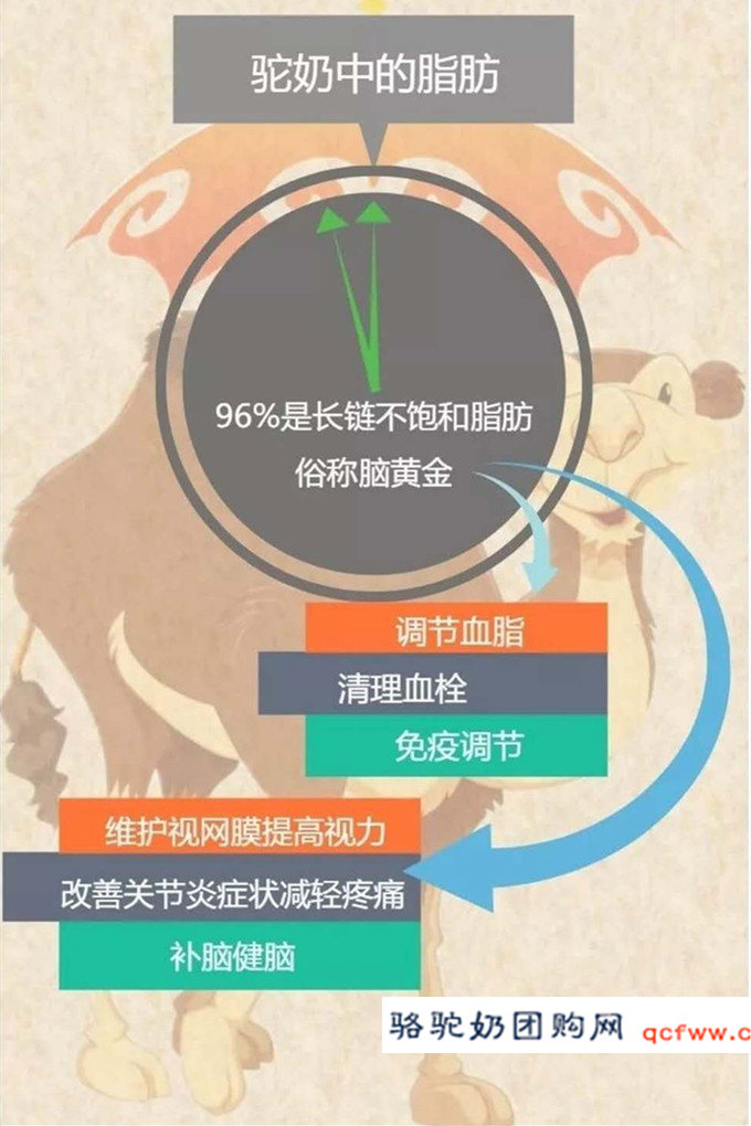 骆驼乳功能介绍