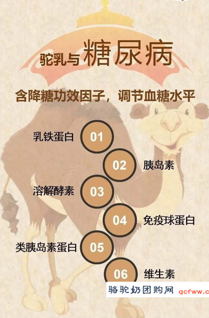 骆驼乳功能介绍